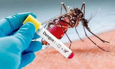 ডেঙ্গু আক্রান্ত ছাড়ালো ২৭ হাজার, আরও একটি মৃত্যুহীন দিন পার