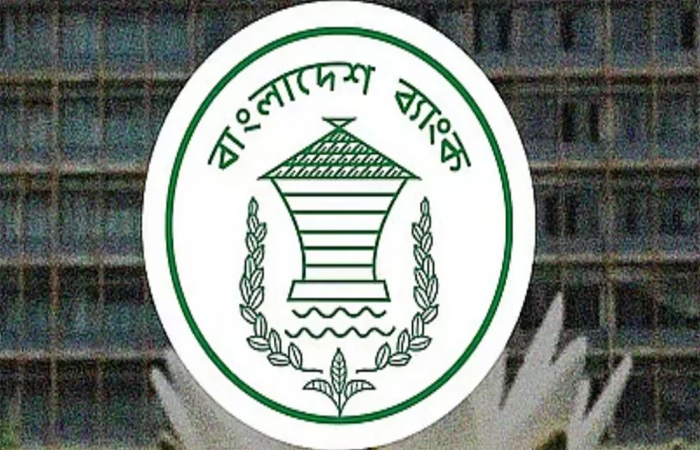 নতুন ব্যাংক একীভূতকরণে কাজ শুরু করেছে সরকার