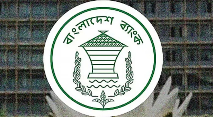 নতুন ব্যাংক একীভূতকরণে কাজ শুরু করেছে সরকার